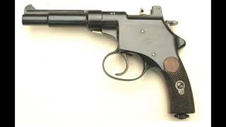 مسدس شتایر مانلیشر Steyr Mannlicher M1894