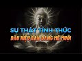 Sự Thật Tỉnh Thức - Dấu hiệu Bạn Đang Mê muội