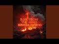 Rise from the ashes