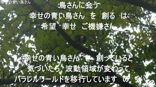 幸せの青い鳥さんを創っていると気づいたら波動領域が変わってパラレルワールドを移行しています