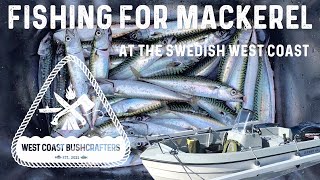 Mackerel Fishing    -    Makrillfiske