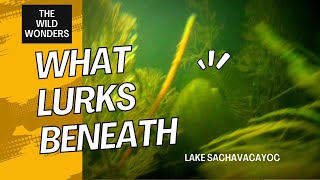 What lurks beneath - Lake Sachavacayoc