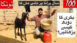 HOW TO INCREASE GOAT MILK | 100 YEARS OLD REMEDY | ANIMAL POINT PK