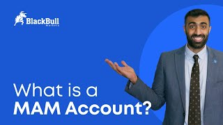 What is a MAM Account? | BlackBull Markets