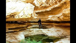 مش هتصدق ان الطبيعه البيور دي في قلب القاهره - محمية وادي دجله بالمعادي Wadi Degla protected