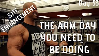 SITE ENHANCEMENT AND THE ARM DAY YOU NEED TO BE DOING DAY 53