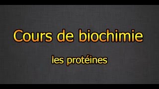 Cours de biochimie : les protéines