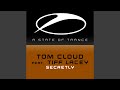 Secretly (Extended Mix)