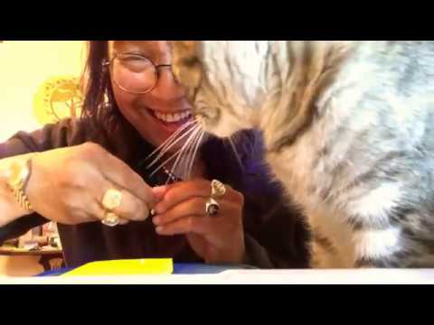my Birthday visit: homemade garlic asparagus pasta, roses, updates, finding the new normal within.. my Birthday visit: homemade garlic asparagus pasta, roses, updates, finding the new normal within..