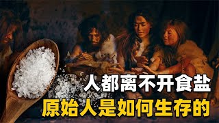 人要活下来离不开盐！那么在盐被发现之前，古人是怎么活下来的？