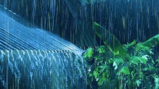 Fall Asleep in Under 5 Minutes with Heavy Rainstorm \u0026 Thunder at Night - Rain Sounds for Sleeping