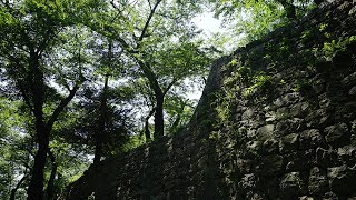 国指定史跡村上城跡（お城山）てくてく散歩