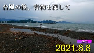 2021.8.8　台風後のサーフに青物を狙いに行ってきた。