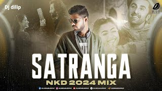 Satranga ( Remix 2024 ) Dj NKD