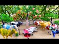 Proses Potong Sapi Qurban ‼️ Wadidaw Proses Cow Cartoon