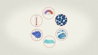 Visualizing Multiscale Catalysis