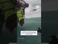 coast guard rescues man and dog