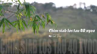 Chim siab los tau 40 xyoo 2/21/2019