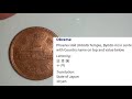 10 yen japanese coin 1974 value update