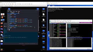 Ruby Buffer Overflow Exploitation