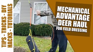 How I make my deer haul -3 to 1 mechanical advantage to help field dress deer.