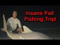 Land Based Shark Fishing/ 2024 Fall Trip Compilation