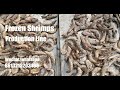 shrimps freezing machine iqf shrimps,iqf freezer tunnel freezer,iqf machine for seafood price