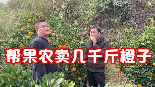 炮哥帮阿龙卖了几千斤脐橙，没想他要请我吃土鸡，听他怎么说的【广西跑个的生活】