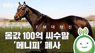 몸값 100억 씨수말 '메니피' 폐사_안윤상은 빅마우스 [박은영의 FM대행진]