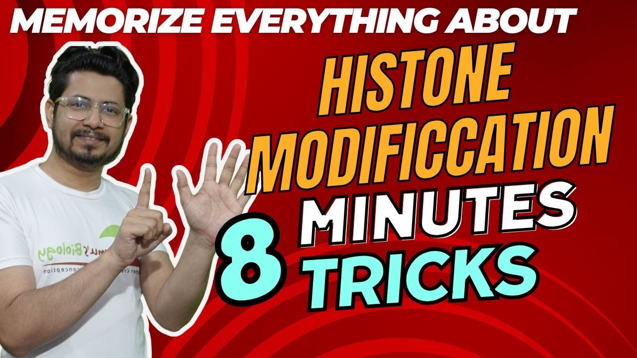 Histone Modification Csir Net Histone Acetylation Deacetylation