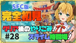 【ドラゴンクエスト6/DQ6】#28　完全初見！！SFC版ドラクエ６　スライム格闘場やドレッサーショーやるぞ～【わんこわんわん/STAR SPECTRE】