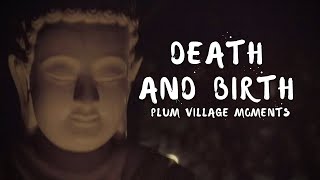 Death and Birth | Plum Village Moments