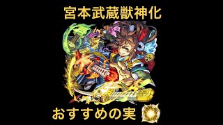 【宮本武蔵獣神化】おすすめわくわくの実[モンスト]