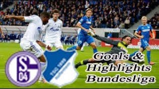 Schalke 04 vs Hoffenheim - 2018-19 Bundesliga Highlights #30
