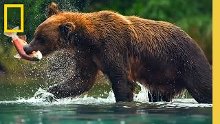 🔴 LIVE: Exploring America's National Parks | LIVESTREAM | National Geographic
