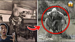 20 Mysterious Photos That Broke the Internet