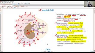 TA7 USMLE STEP 1: GENERAL EMBRYOLOGY 2