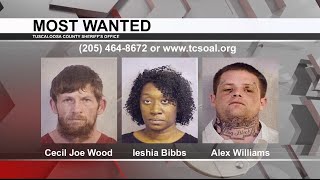 Tuscaloosa's Most Wanted: Sept. 3, 2021