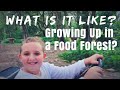 9-Year-Old Gavin & His EPIC FOOD FOREST TOUR on 7 Acres!