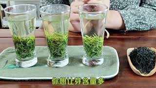 信阳毛尖高山茶传统旱茶，各级别划分与鉴别，这一篇弄明白绿茶！