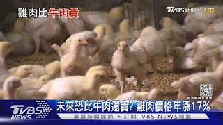 烏俄重創飼料價格 英國超市業者:雞肉恐比牛肉貴!｜十點不一樣20220616