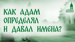 Как Адам определял и давал имена?  💚  @Лаврамолодь