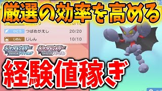 【ポケモン ダイパリメイク】最新の厳選の流れ＆最速の経験値稼ぎ方法。結局これが一番効率がいいんじゃないの？【ブリリアントダイヤモンド・シャイニングパール／攻略/BDSP/小技/小ネタ/裏技】