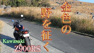 【金色の野を征く】Z900RSで日本三大カルスト 福岡県の平尾台を走る。雑談したって良いよね？