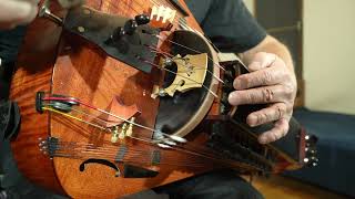 Spontaneous improvisation on Hurdy-Gurdy with flageolets