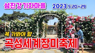 곡성세계장미축제, 계절의 여왕, 꽃중의 꽃, 섬진강기차마을에서 장미축제가 열립니다. 장미정원, 증기기관차, 레일바이크등 즐길거리가 가득~