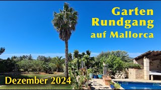 GARTENRUNDGANG auf Mallorca 2024! ☀️🌸 Mein Garten im Dezember 🍋😊 Winterleben auf der Insel 🍀