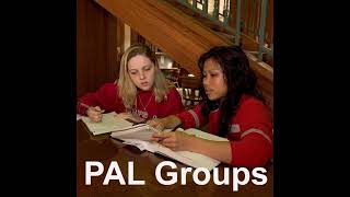 Understanding the Supplemental Instruction Model