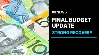 Federal government announced final budget update for the year | ABC News