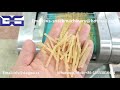 Jinan DG Fried Stick Snack Pellet Extruder Machine/Extrusion 3d2d Pellet strip production line